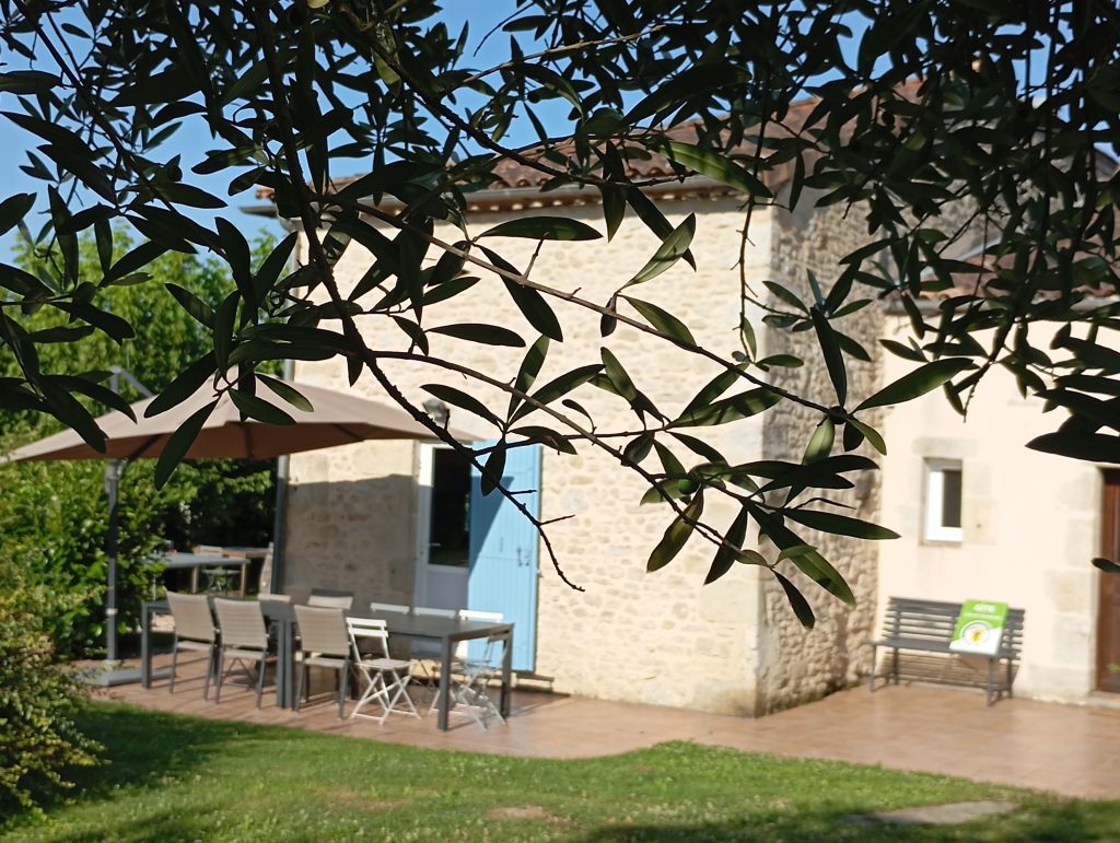 img 20240718 092941