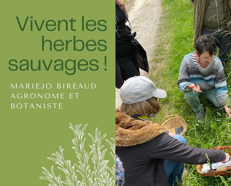 Vivent les herbes sauvages Marie jo